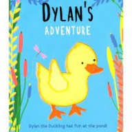 Dylan's Adventure Kelly Caswell board book