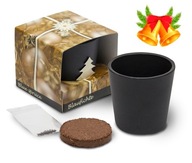 PREZENT DRZEWKO ŚWIĄTECZNE ZESTAW DO UPRAWY LUX