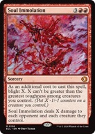 Karta Magic: The Gathering Soul Immolation ECL