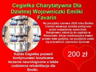 Cegiełka Charytatywna Dla Dzielnej Wojowniczki 200 zł Dla Emilki Favarin