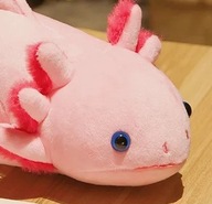 AXOLOTL maskotka plusz Aksolotl pluszak prezent ambystoma