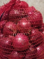 cebula czerwona świeżą od rolnika 10 kg