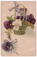 Kwiaty Bratki ok.1902r. LITOGRAFIA x488