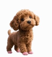 MALTIPO BRELOK ZAWIESZKA DO KLUCZY TORBY PLECAKA SUZI