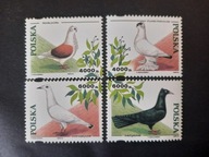 Fi 3363 - 3366 ** - Gołębie Hodowlane