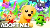 79K | 100 + Potions | Roblox Adopt Me