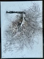 Fotografia „Zima-zima” w czarnej ramie 34. Finał WOŚP Białystok