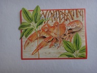 FIJI 2007, kraby, fauna morska