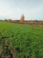 Działka, Michałowice, Pruszkowski, 1200 m²