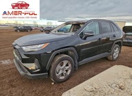 Toyota RAV4 XLE 2024 2.5 Hybryda 203KM