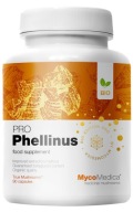 BIO PHELLINUS LINTEUS PRO 32% Mycomedica grzyby beta-glukany EKSTRAKT