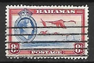 Bahamy D702 fauna flamingi