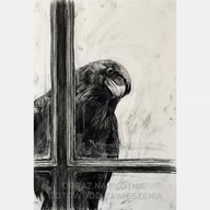 Kruk zagląda przez okno obraz na płótnie 55x80 czarny ptak szkic węgiel art