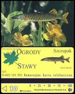 KTP - TPSA POLSKA # KARTA KOMERCYJNA 127K # SZCZUPAK # 2002 # karta nowa