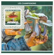 Dżibuti 2018 ** cena 12,50 zł kat.7,50€ - grzyby