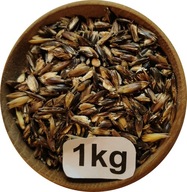 Owies Czarny Gnieciony, Płatki z Owsa Czarnego 1kg, 2025r