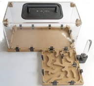 Formikarium modułowe – piaskowe zestaw arena 20×10 + gniazdo 10×10 + poidło