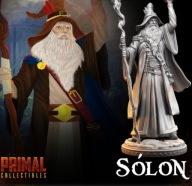 Solon Wizard - MoDQ - figurka RPG DnD D&D - druk 3D 14K