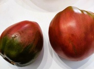 Pomidor Chernoe Sertse (230) nasiona kolekcjonerskie