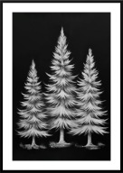 A2 PLAKAT ZIMA PUSZYSTY ŚWIERK ŚWIERKI CHOINKA BIAŁA, ZIMA, BIAŁO-CZARNY