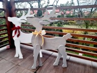 Renifer duży drewno