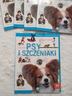 Nasi ulubieńcy Psy i szczeniaki