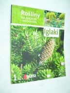 Iglaki Rośliny na balkon i do ogrodu - CHOJNOWSKA