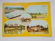 ZOO w Chorzowie Śląski Ogród - Park Kultury i Wypoczynku, ŁANIA - z 1980 r