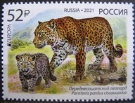 Rosja - Mi 2944 - Lampart kaukaski