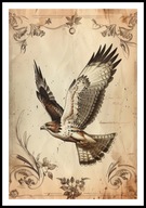 A2 PLAKAT RYSUNEK SZKIC VINTAGE RETRO PTAK ORZEŁ PLAKAT Z ORŁEM