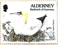 PTAKI EUROPY ALDERNEY 1995 Głuptak Mi 82. Stan BDB.