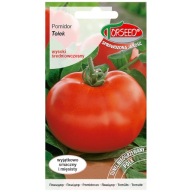 Sadzonka Pomidora odmiana Tolek