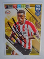 Karta panini autograf PSV Eindhoven Luckassen Fifa 365