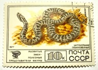 Znaczek pocztowy radziecki 1977 żmija syberyjska kareza ZSRR CCCP Rosja gad