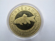 10 złotych rybek akwariowych bocjana wspaniała Trzęsacz