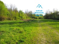 Działka, Mucharz, Mucharz, Wadowicki, 8100 m²