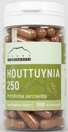 Suplement diety Nanga Houttuynia 250 100 kapsułek