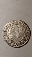 Polska,Półgrosz 1513 Zygmunt Stary,Wilno
