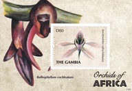 Gambia 2000 ** cena 5,90 zł kat.5€ - flora