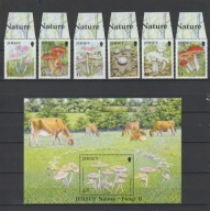 JERSEY 2005 ZESTAW GRZYBY