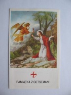 ZIEMIA ŚWIĘTA OGRÓD OLIWNY LIŚĆ Z DRZEWA OLIWNEGO stary ŚW.OBRAZEK-RELIKWIA