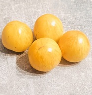 Pomidor Huan-u Topaz /Miodowy Topaz (499) nasiona kolekcjonerskie