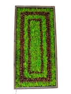 Obraz z mchu z LED. DUŻY 120 x 60 cm