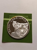 20 rubli WILKI SZARE Białoruś 2007 SWAROVSKI 1oz Ag999 CERT Limit-7000 szt