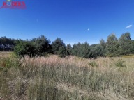 Działka, Nowa Wieś, Serock, Legionowski, 20000 m²
