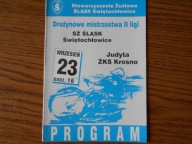 Liga Śląsk Świętochłowice - Judyta Krosno 2001