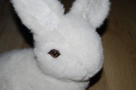 pluszak maskotka biały królik króliczek zając