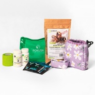 Box dla psa na podróż, prezent dla psa