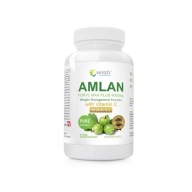 Suplement diety Wish Pharmaceutical Amlan Forte Max Plus kapsułki 120 szt.