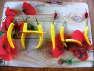 Papryka Yellow Jalapeno nasiona